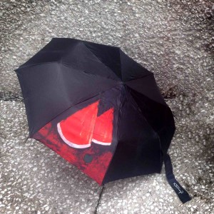 IMG_2516 paraguas sandía